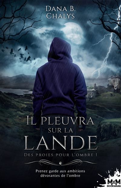 Il pleuvra sur la lande Des proies pour l'ombre, T1