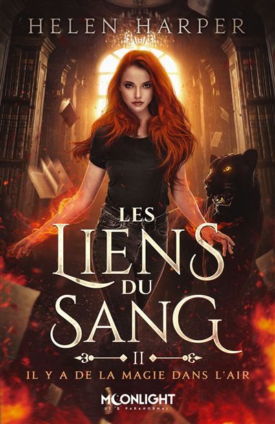 Il y a de la magie dans l'air Les liens du sang 2