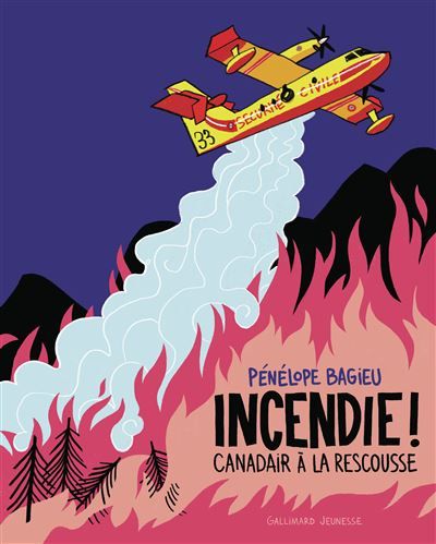 Incendie ! Canadair à la rescousse