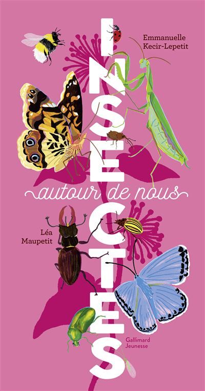 Insectes autour de nous