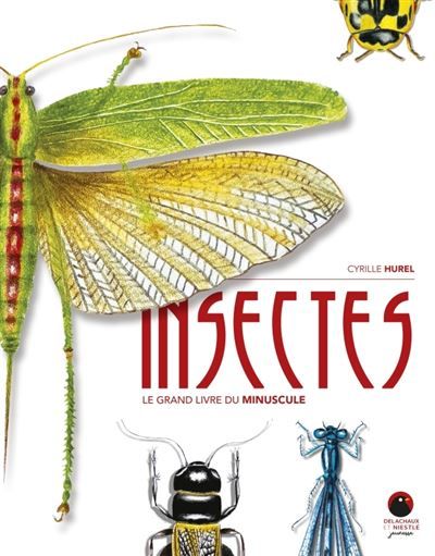 Insectes Le grand livre du minuscule