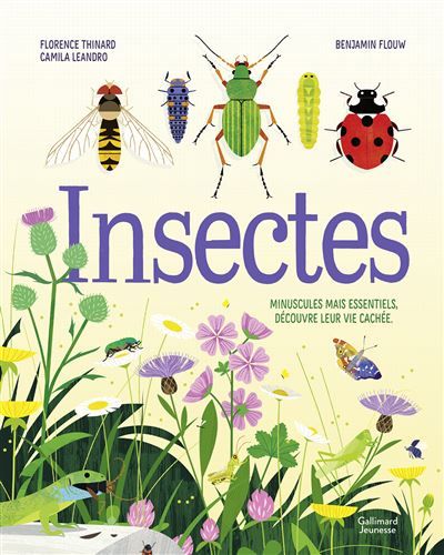 Insectes Minuscules mais essentiels, découvre leur vie cachée