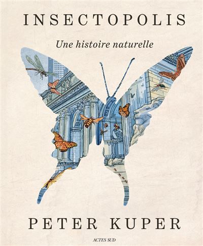 Insectopolis Une histoire naturelle