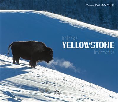 Intime Yellowstone Edition bilingue français-anglais