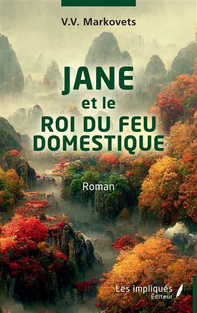 JANE et le ROI DU FEU DOMESTIQUE Roman