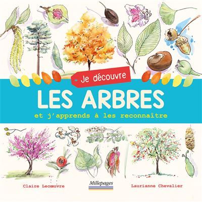 Je découvre les arbres Et j'apprends à les reconnaître - Laurianne Chevalier