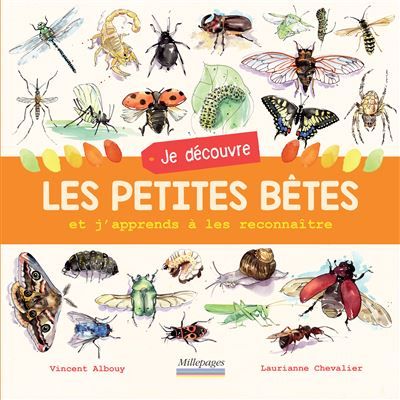 Je découvre les petites bêtes Et j'apprends à les reconnaître