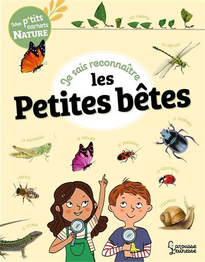 Je sais reconnaître les petites bêtes Mon carnet nature - Mary Gribouille