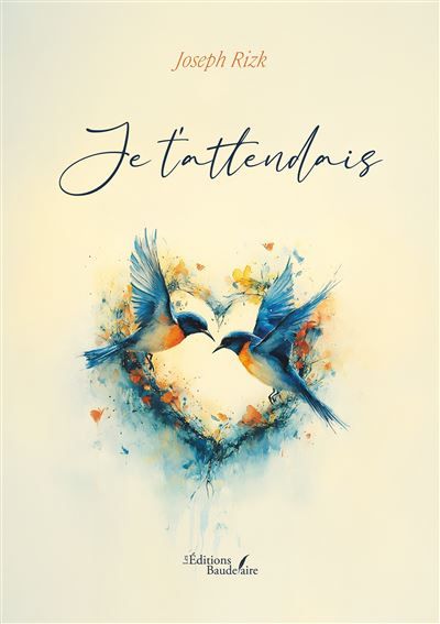 Je t'attendais