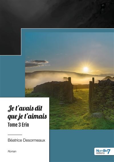 Je t'avais dit que je t'aimais -  Tome 3 Erin