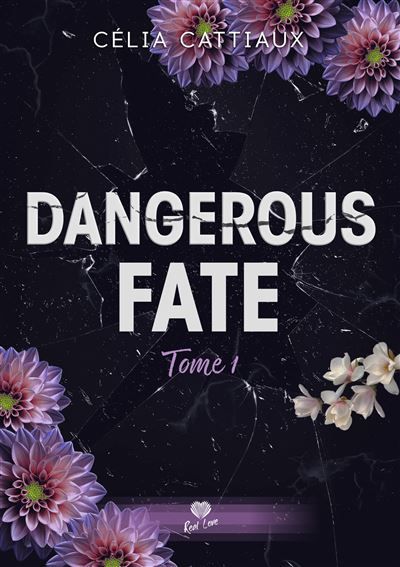 Je te retrouverai Dangerous Fate - T01