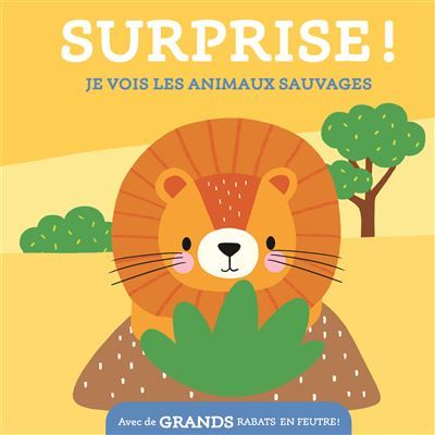 Je vois les animaux sauvages / surprise