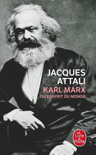Karl Marx, ou, L'esprit du monde biographie