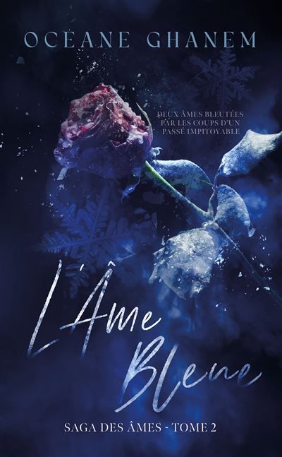 L'Âme bleue - Saga des Âmes Tome 2 la saga des ames,2