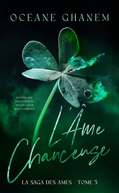 L'Âme Chanceuse  - Saga des Âmes Tome 5 Le troisième cycle de la saga des âmes