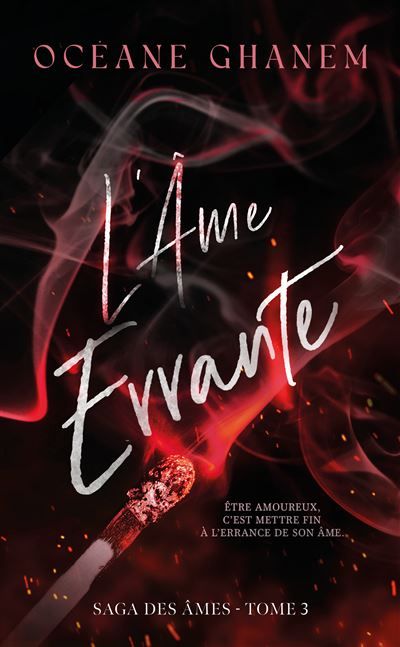 L'Âme Errante - Saga des Âmes Tome 3 Après l'Âme Bleue