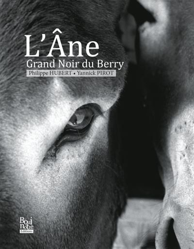 L'Âne Grand Noir du Berry