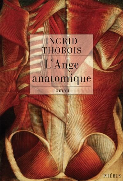L ange anatomique