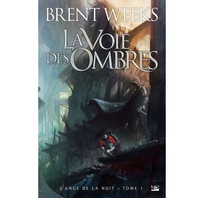 L'Ange de la Nuit, T1 : La Voie des ombres