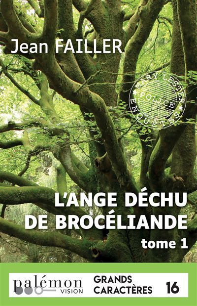 L'ange déchu de Brocéliande - T1 (Grands caractères) Edition en gros caractères