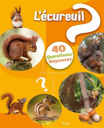 L'écureuil 40 questions/réponses