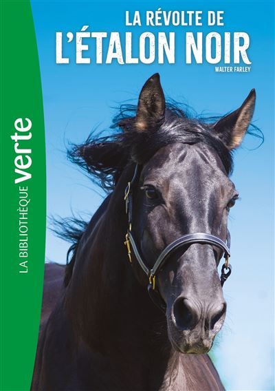 L'Etalon noir 06 NED - La révolte de l'Etalon Noir