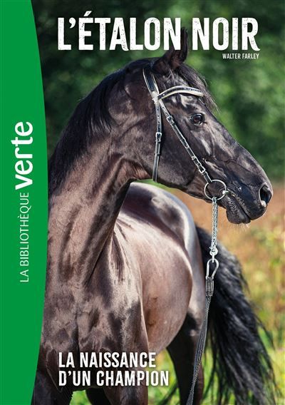 L'Etalon noir (nouvelle édition),  Tome 19 - La naissance d'un champion