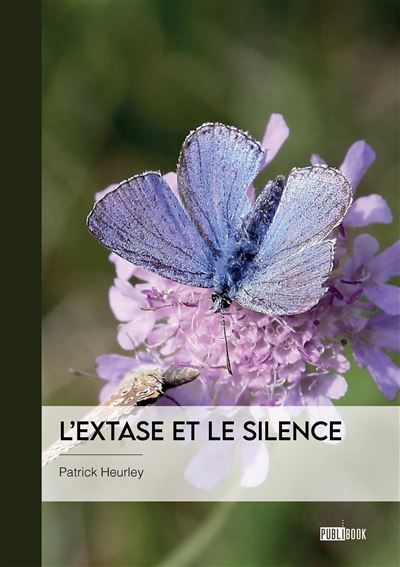 L'extase et le silence