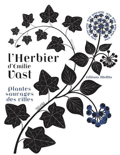 L'herbier  - plantes sauvages des villes