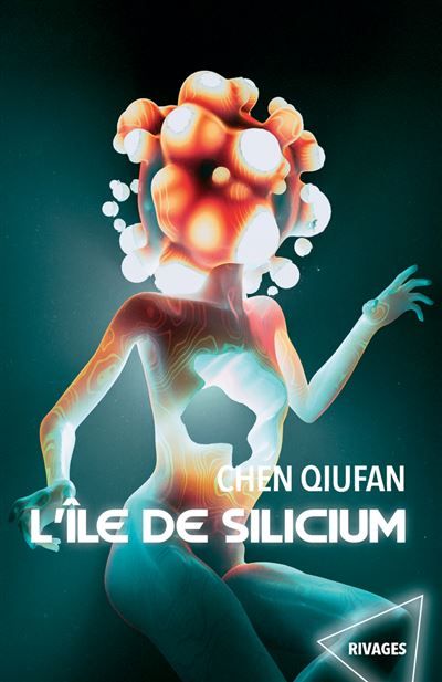 L'île de Silicium