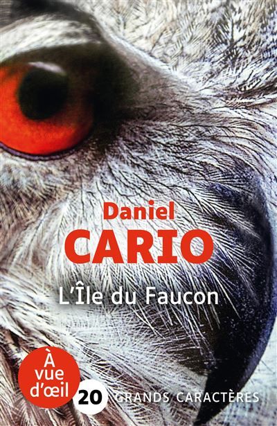 L'ile du faucon Grands caractères, édition accessible pour les malvoyants
