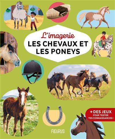 L'imagerie - Les chevaux et les poneys -  Lymut