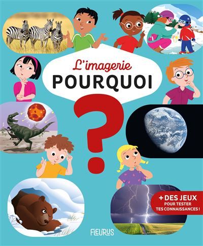 Couverture de L'imagerie - Pourquoi ? par Cathy Franco