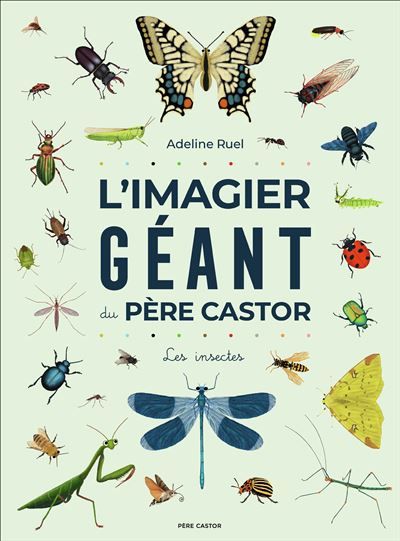 L'Imagier géant du Père Castor - Les insectes