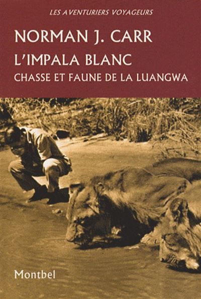 L'impala blanc Chasse et faune de la Luangwa.