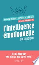 L'intelligence émotionnelle en pratique