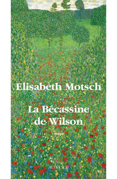 La bécassine de Wilson