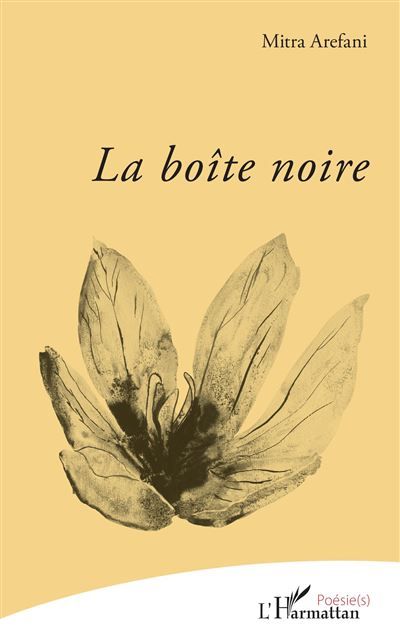 La boîte noire