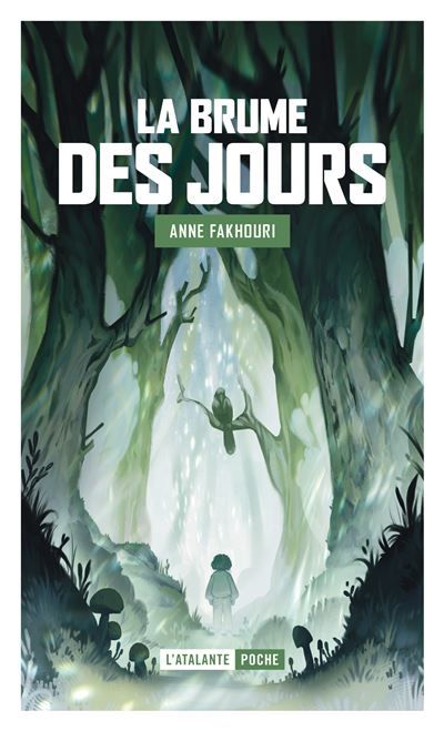 La brume des jours