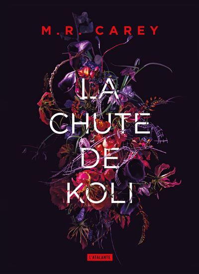 La chute de Koli rempart,3