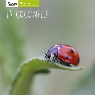 La coccinelle Mes premiers documentaires