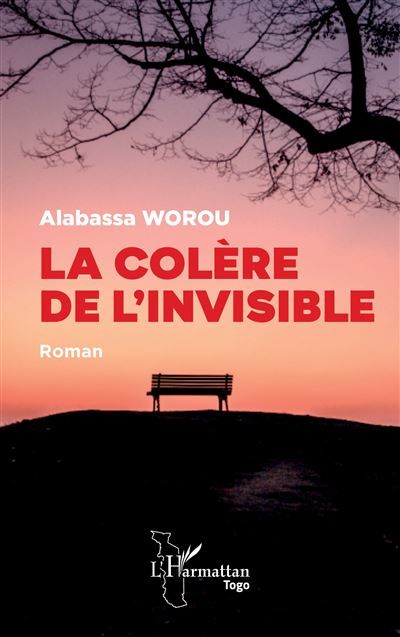 La colère de l’invisible Roman