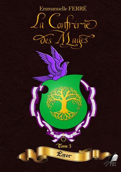 La Confrérie des Mages T3 Essor
