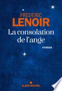 La Consolation de l'ange