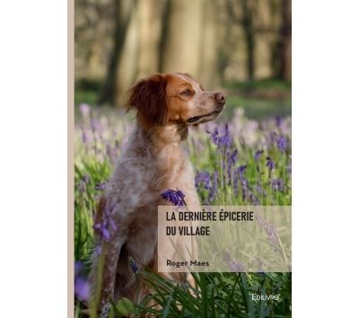 La dernière épicerie du village
