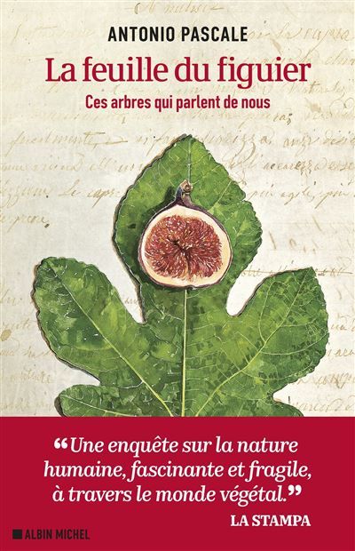 La Feuille du figuier Ces arbres qui parlent de nous