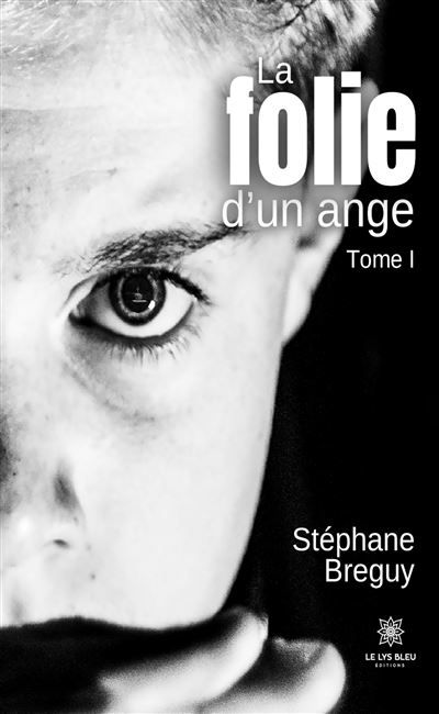 La folie d'un ange Tome I