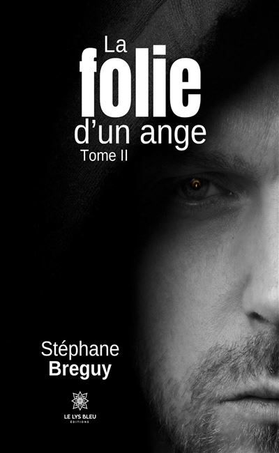La folie d'un ange Tome II