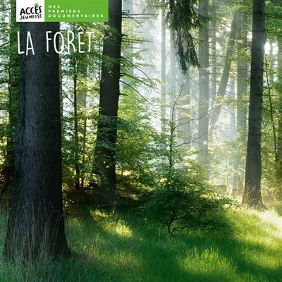 La forêt