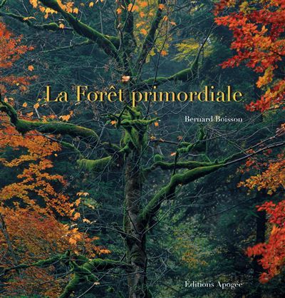 La forêt primordiale